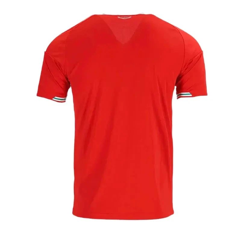 Wales 2026 Home Jersey — Photo 2