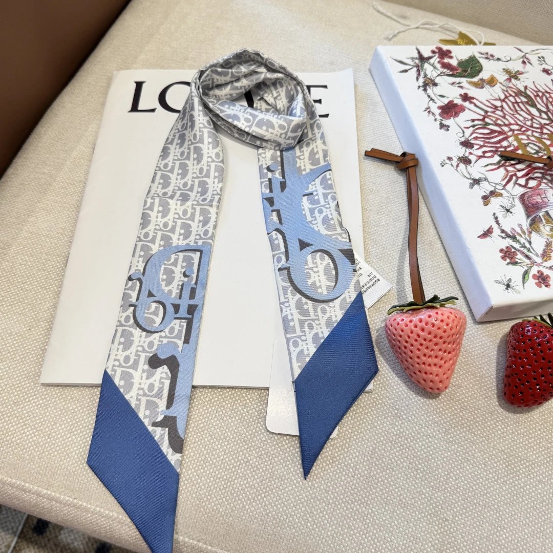 Dior Silk Hair Ribbon Ver.C — QC