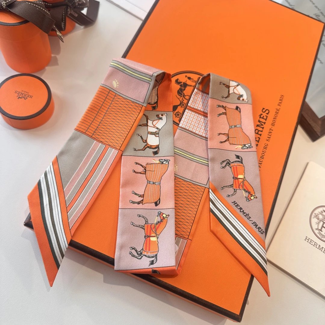 Hermes Silk Ribbon Ver.Q — Photo 5