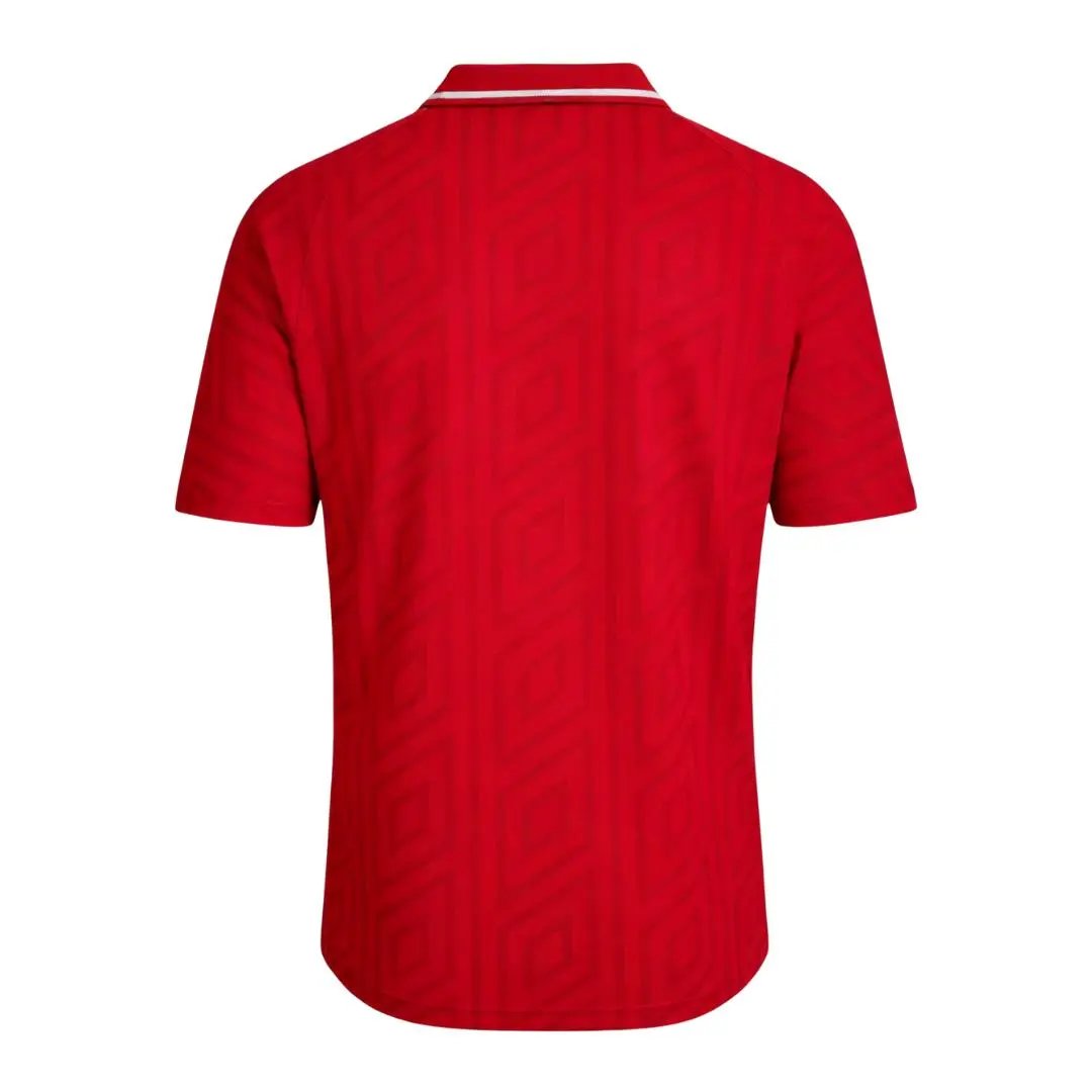 Wales 1992/94 Retro Home Jersey — Zdjęcie 2