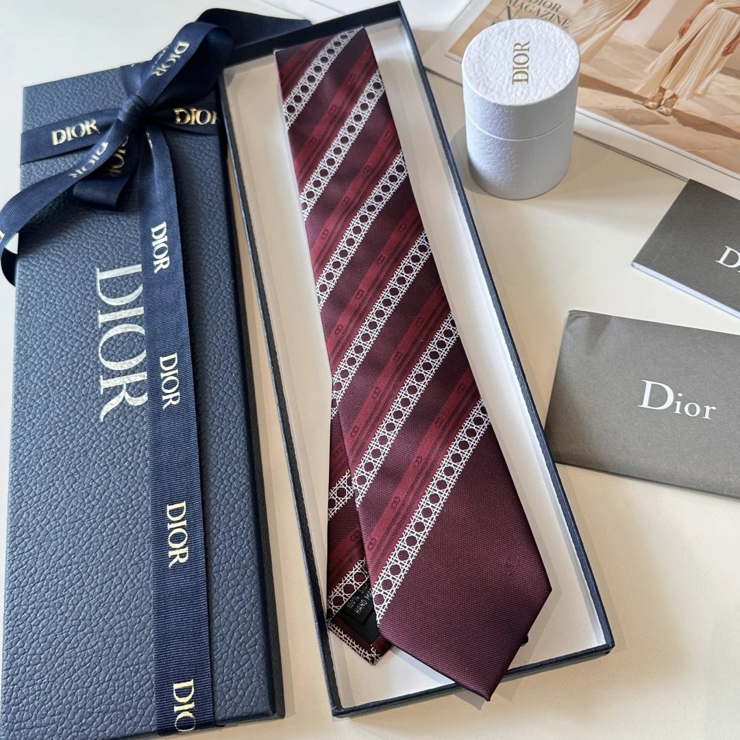 Dior Silk Tie Ver.F — QC
