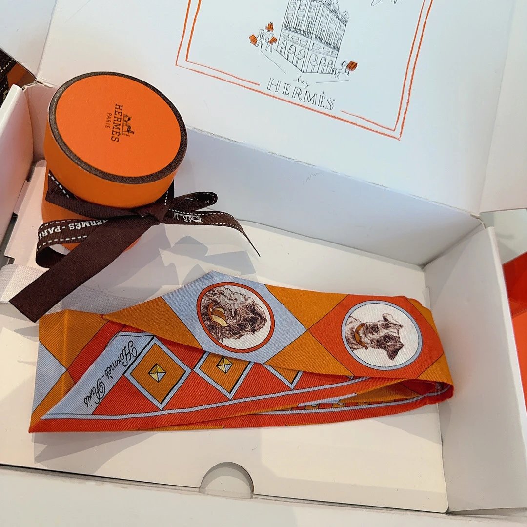 Hermes Silk Hair Ribbon Ver.G — Photo 3