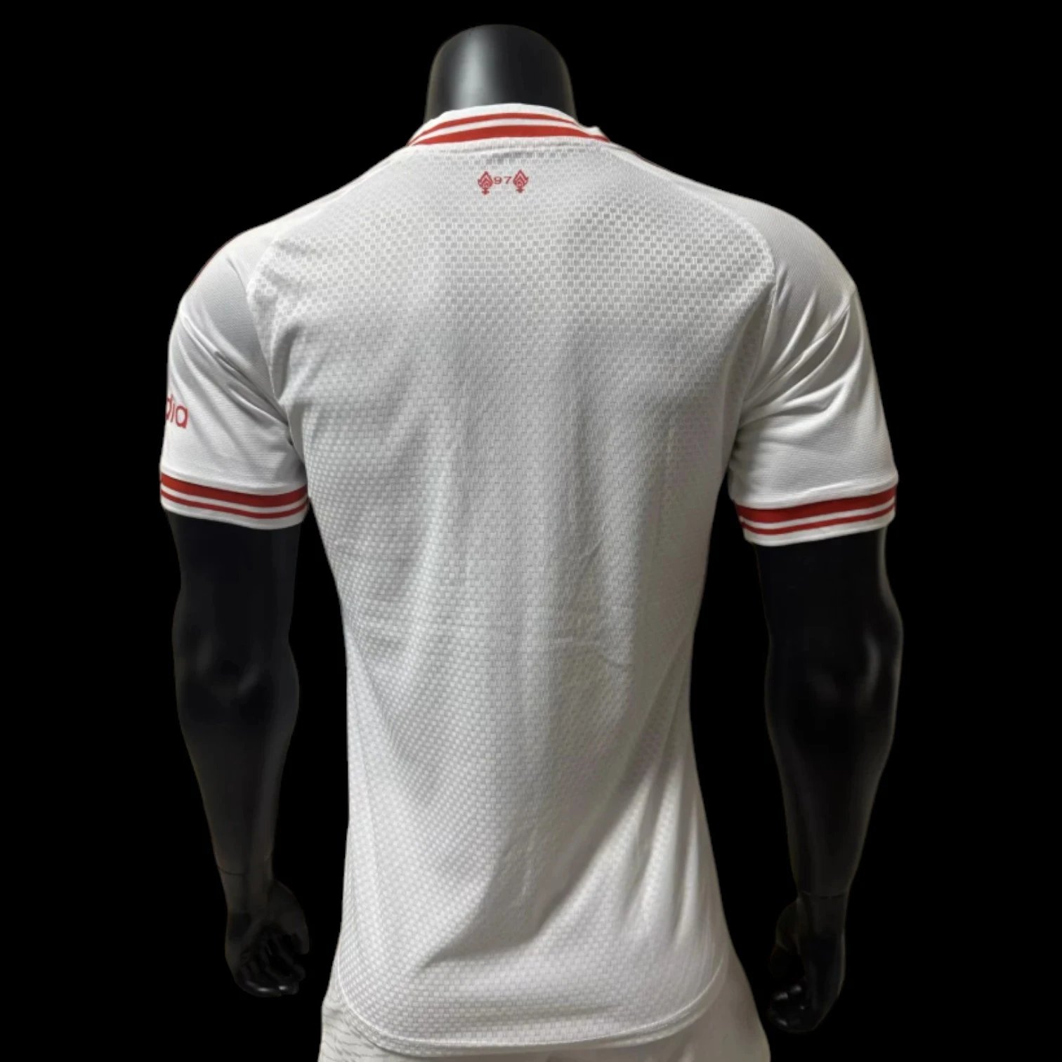 Liverpool 25/26 Third Jersey (Player Version) — QC