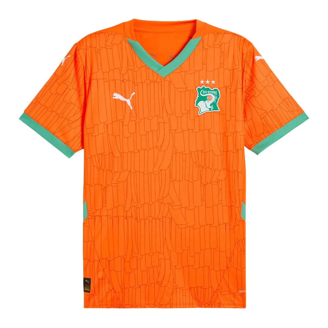 C Te D Ivoire 24/25 Home Jersey — photo 4