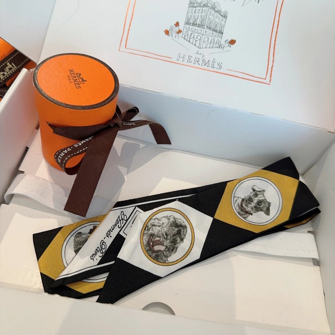 Hermes Silk Hair Ribbon Ver.F — Photo 3