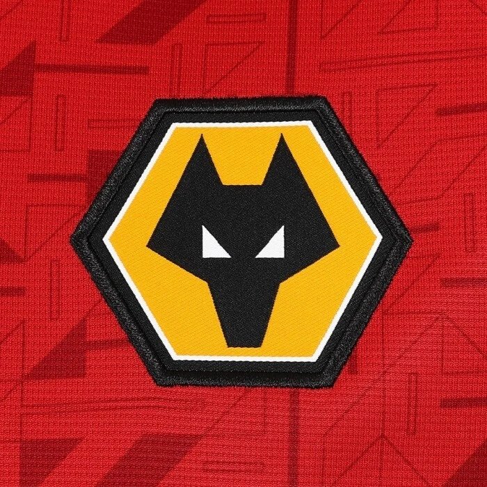 Wolverhampton Wanderers 23/24 Away Jersey — photo 3