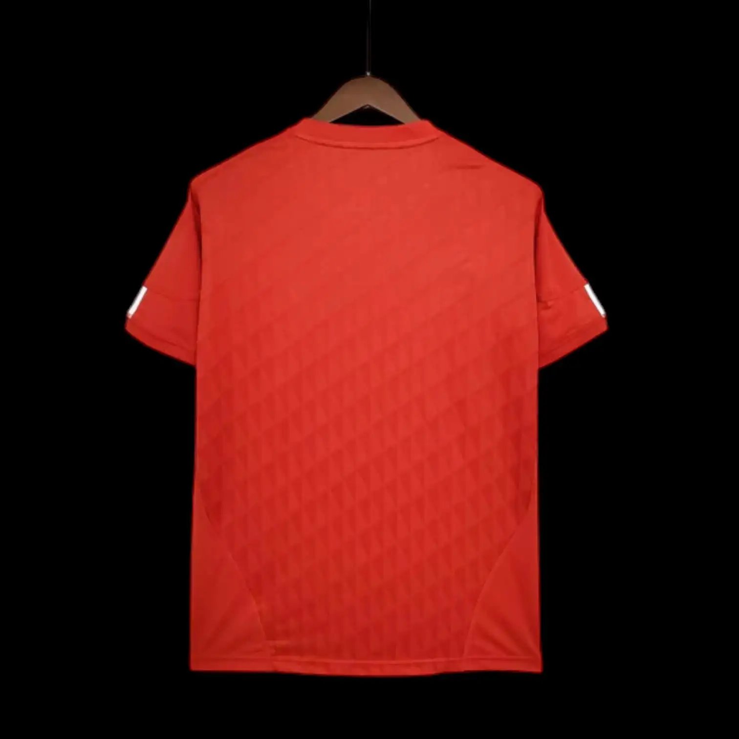 Liverpool 10/11 Retro Jersey — QC