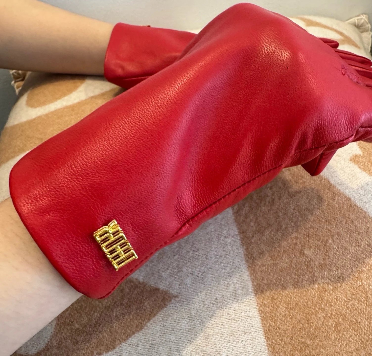 Dior Lambskin Cashmere Gloves Ver.B — Zdjęcie 3