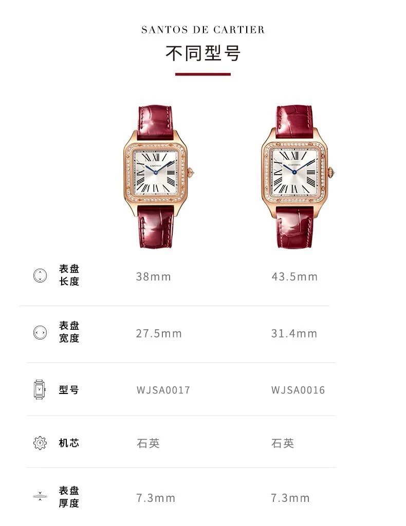 Cartier Santos Quartz Couple Watch 43mm — photo 4
