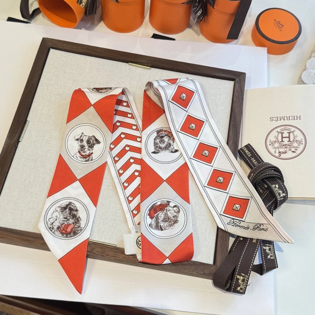 Hermes Silk Hair Ribbon Ver.E — QC