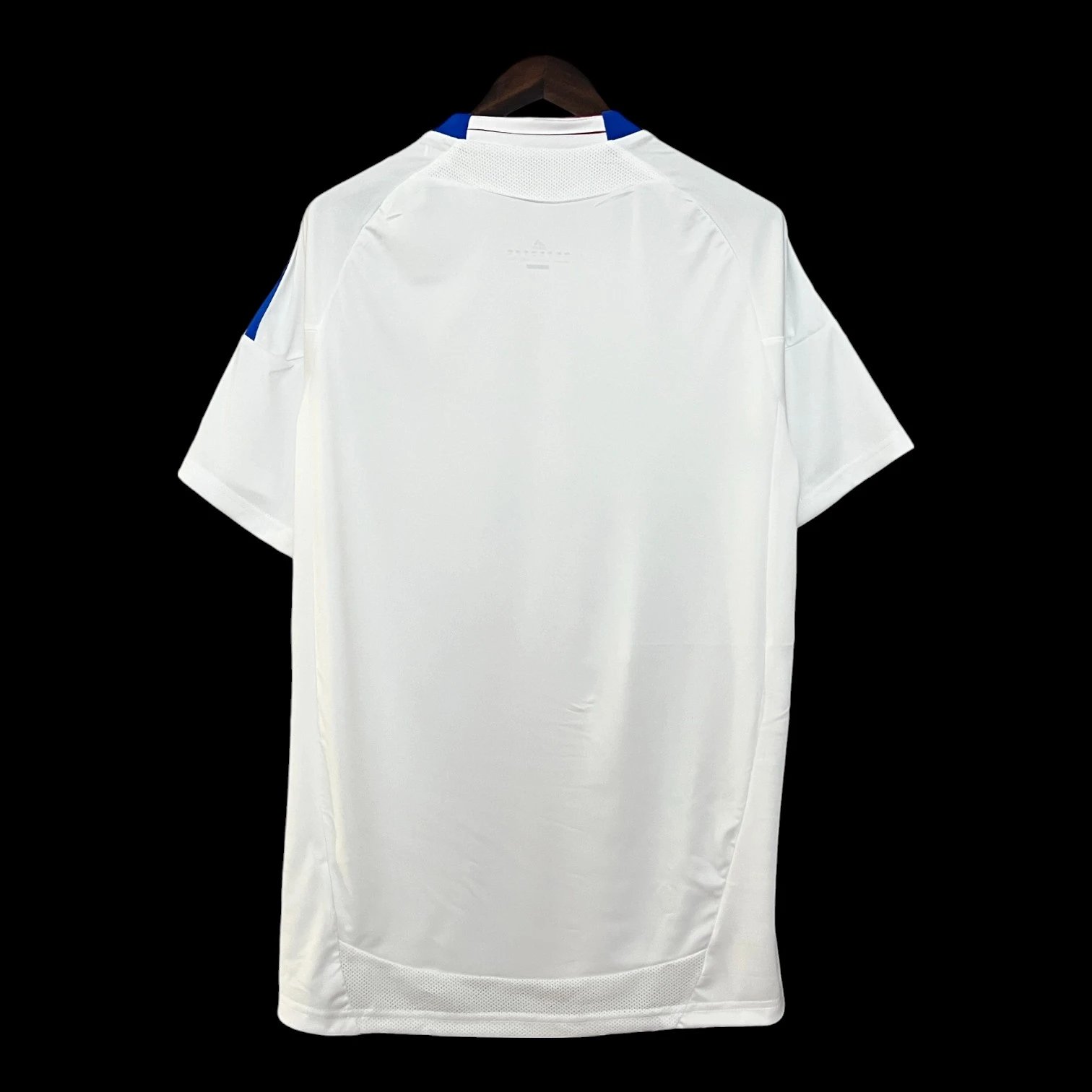 Lyon Olympique Lyonnais 10/11 Retro Jersey — Photo 2