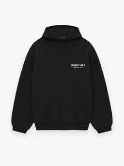 thumbnail for 24FW25SS Hoodie ESS Hoodie