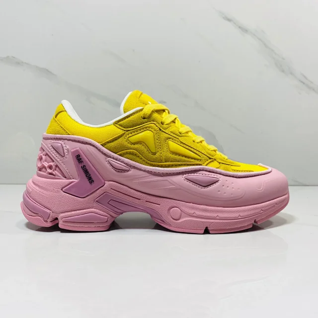 Raf Simons Multiple models: Antei, Cylon, Ozweego product detail image 10