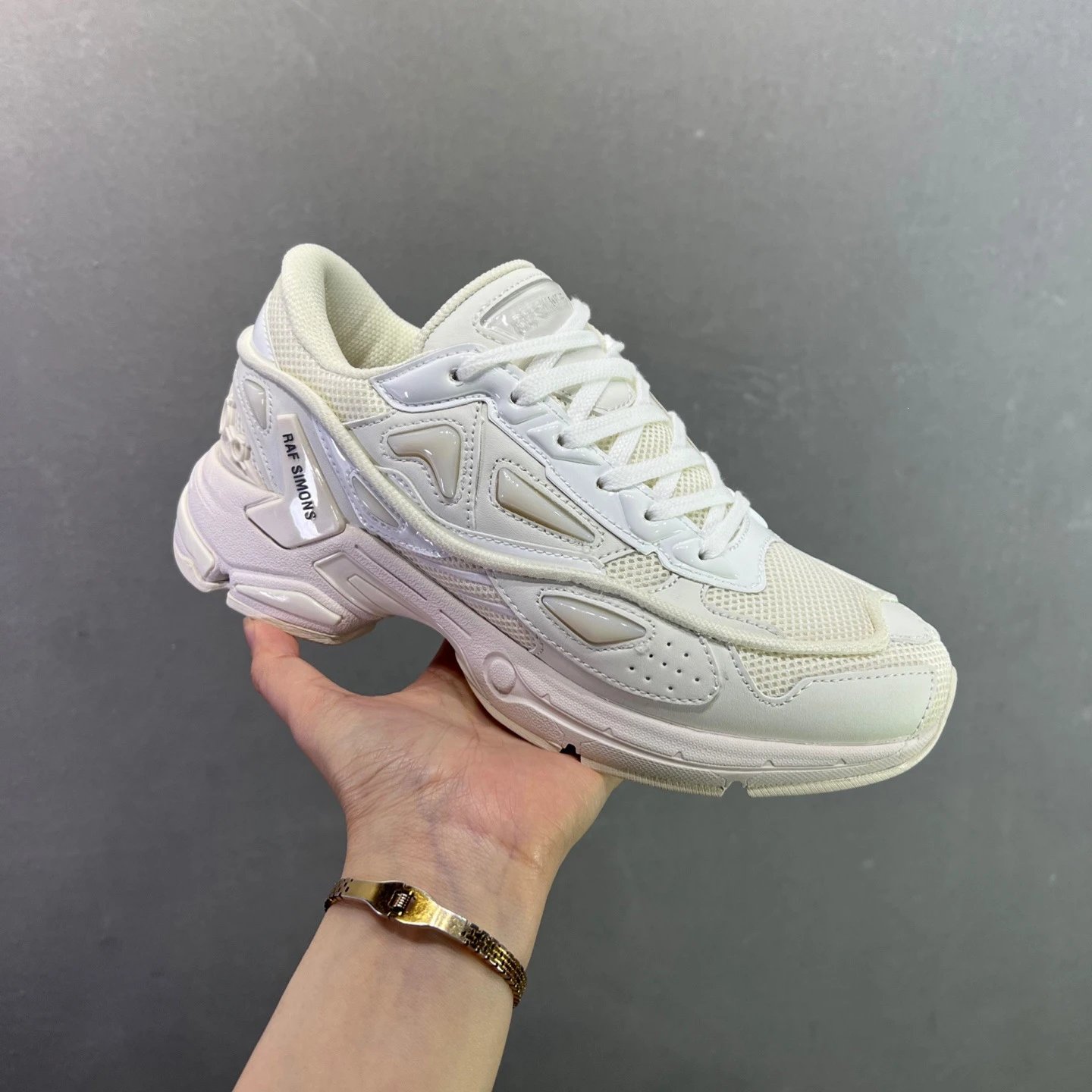Raf Simons Multiple models: Antei, Cylon, Ozweego — Ozweego-1