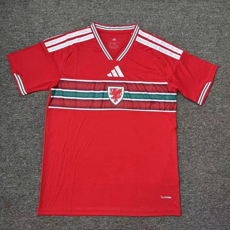 2026-2027 Wales Home - Style 14