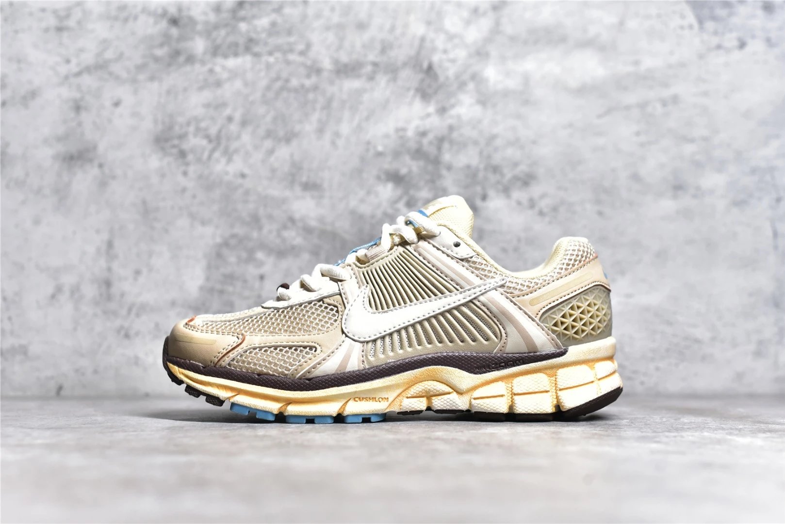 Nike Zoom Vomero 5 Oatmeal (Women's) - FB8825-111