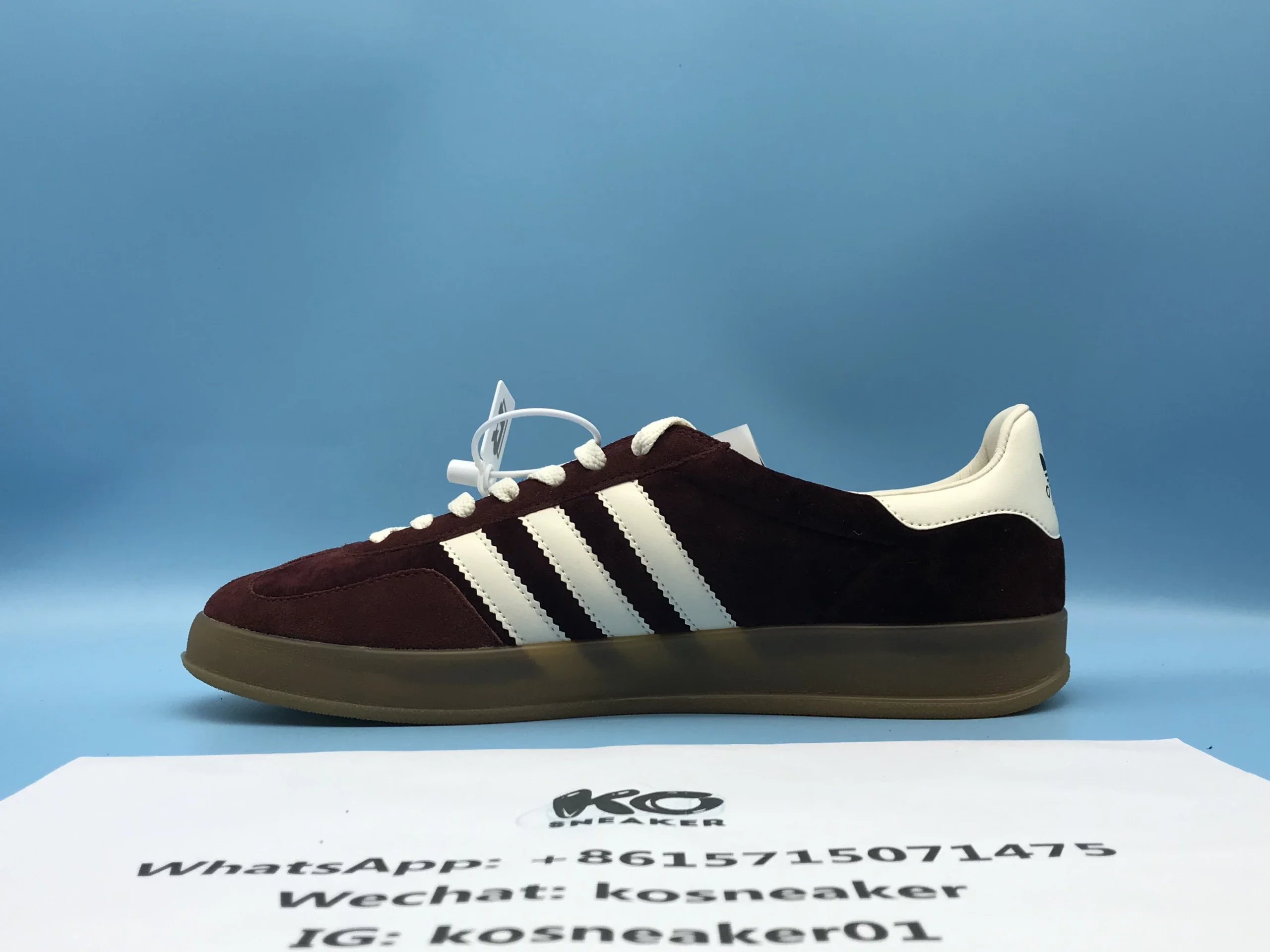 チベットガゼル THIBETAN GAZELLE ハンティングトロフィー