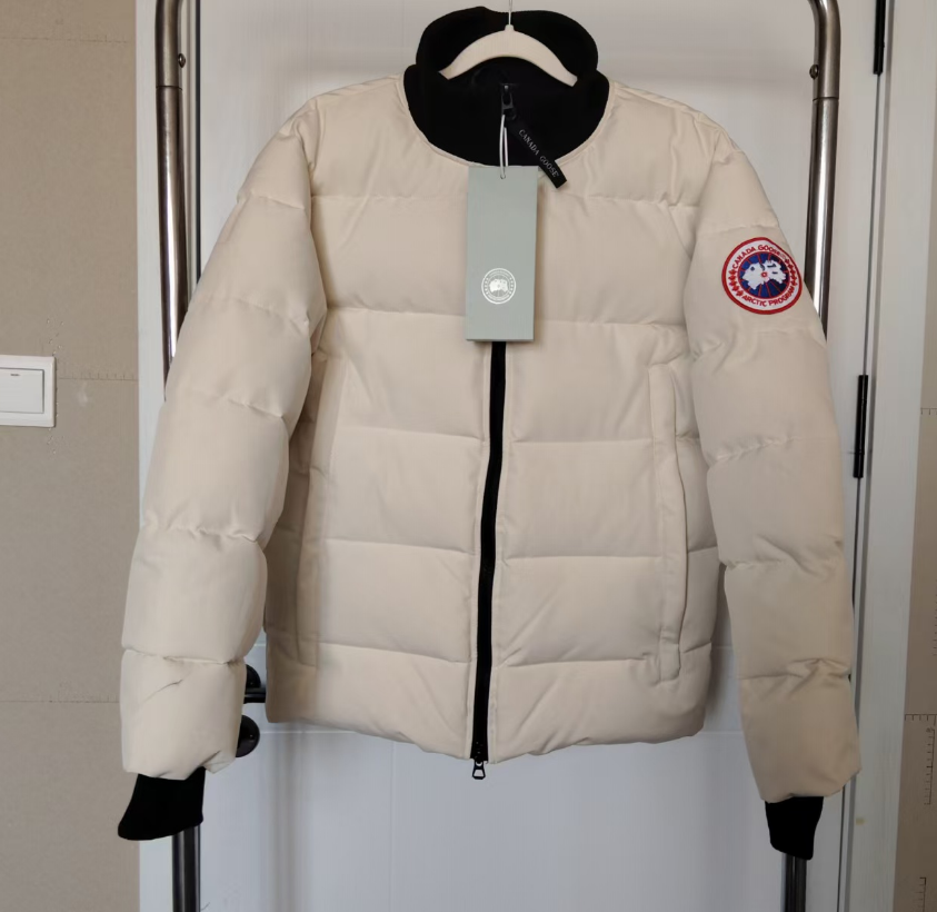 大鹅米白，无毛领