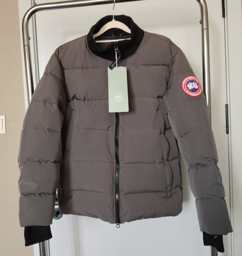 大鹅灰，无毛领