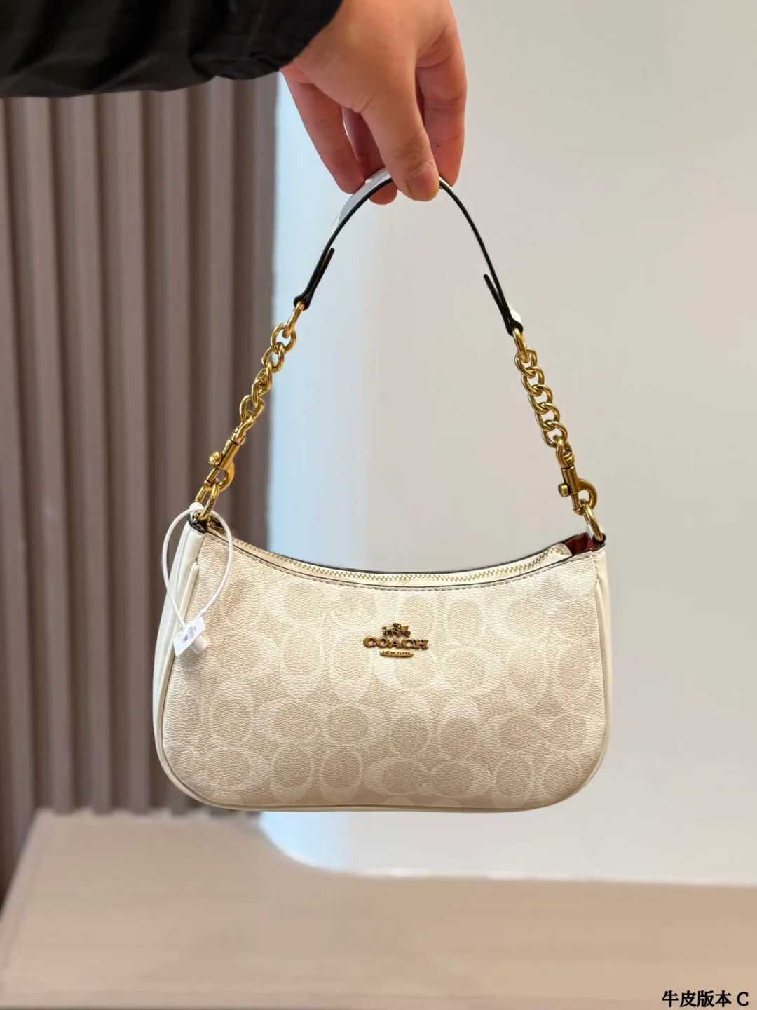 Coach Signature Beig