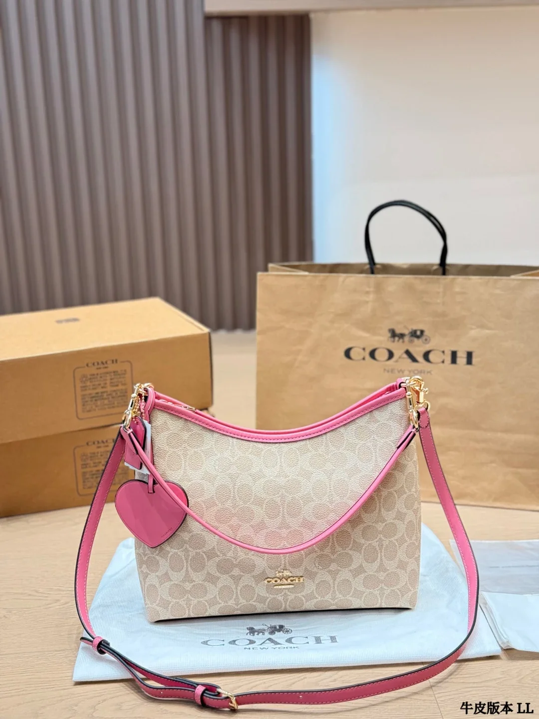 Coach Signature Beig