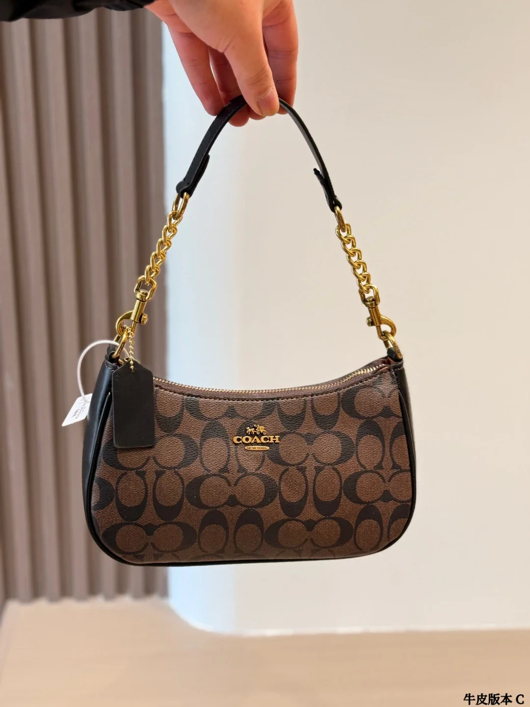 Coach Signature Brow