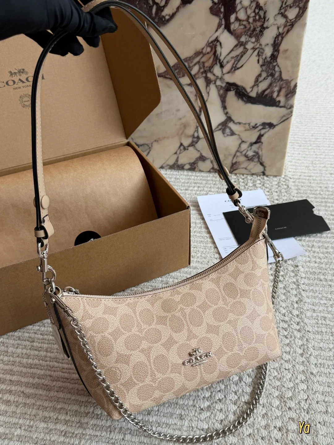 Coach Signature Beig