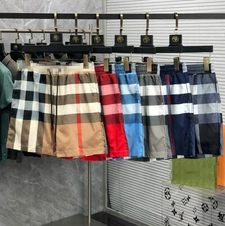 Burberry Check Print Beige Navy Blue Classic Shirt