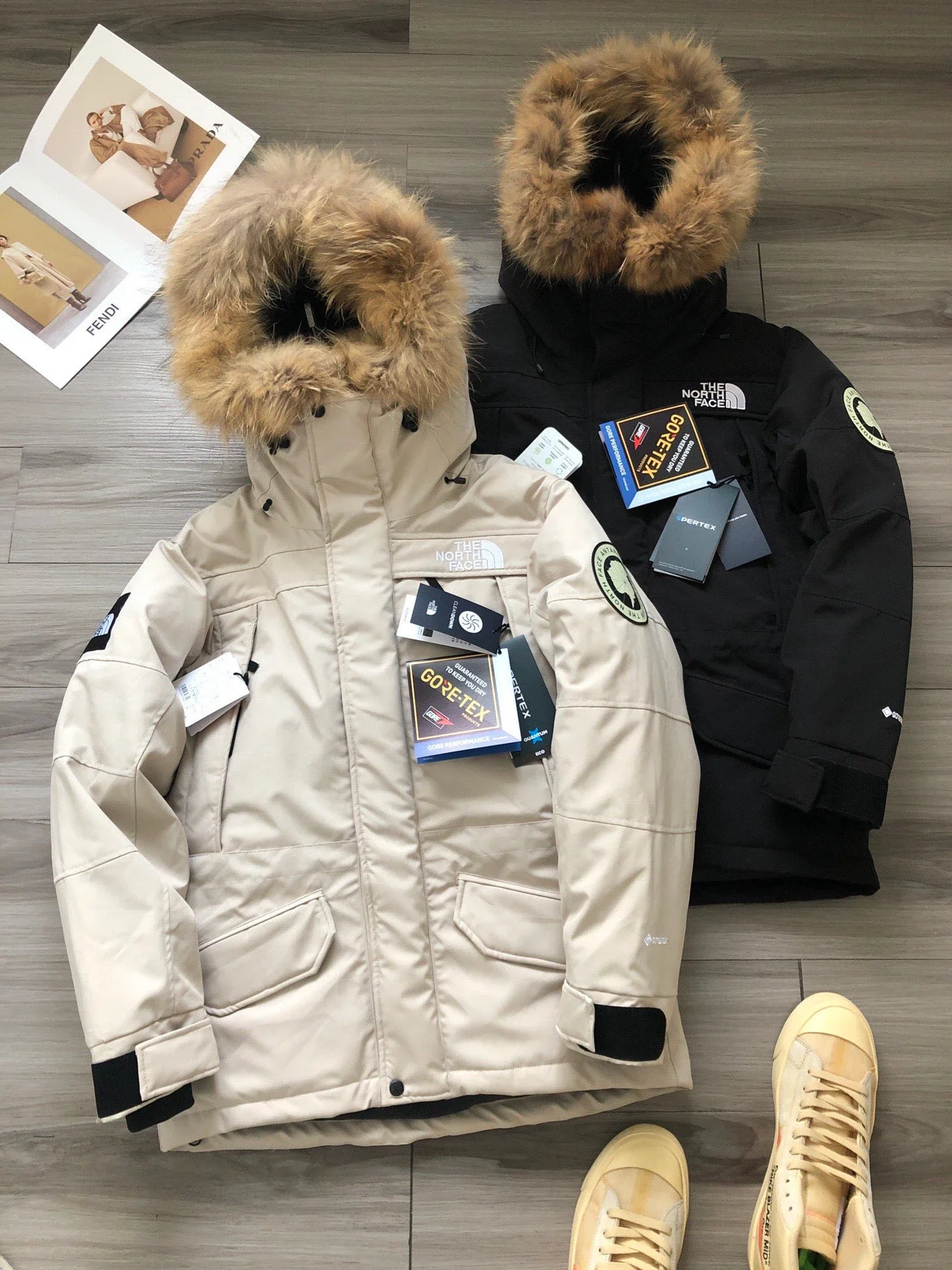 The North Face Antarctica Parka Down Jacket