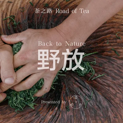 茶之路 茶之路