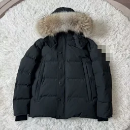 thumbnail for Wyndham parka downjiacket