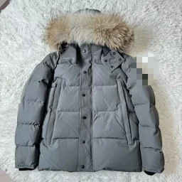 thumbnail for Wyndham parka downjiacket