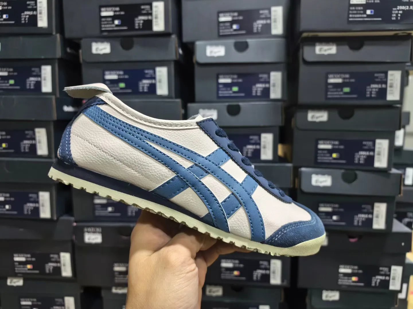 Beige & Navy Blue