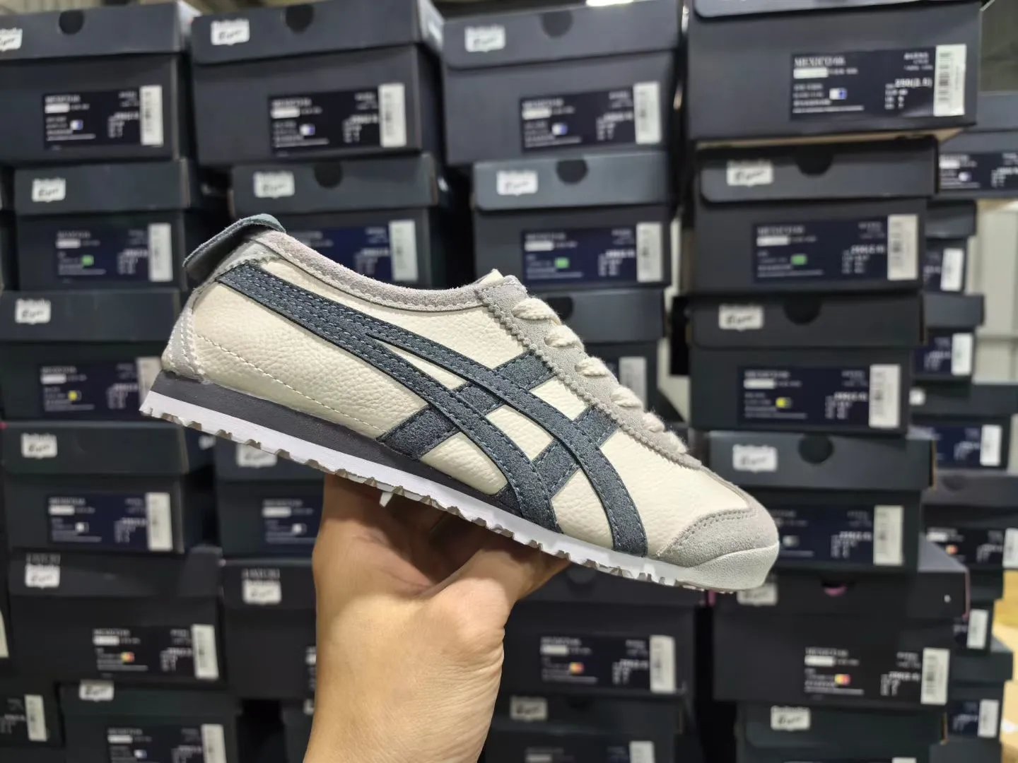 Gray Beige & Gray