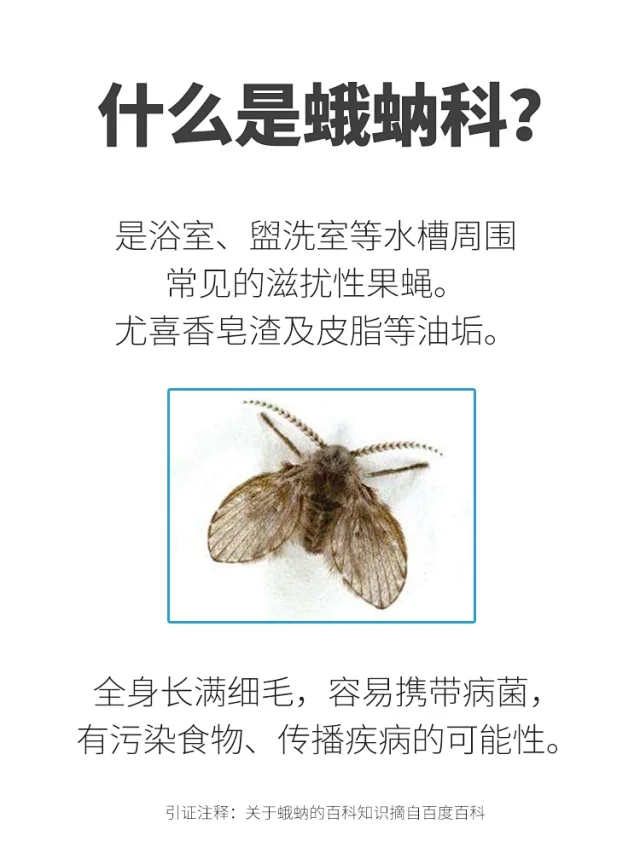金鸟下水道小飞虫除灭喷剂轻轻一喷 消灭蛾蚋 金鸟下水道小飞虫除灭喷剂轻轻一喷 消灭蛾蚋