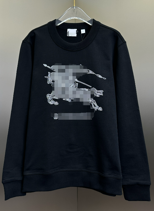 B Sketch War Horse Embroidered Round Neck Hoodie