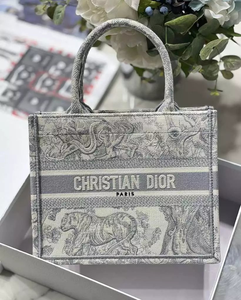 Christian Dior Book Tote Bag