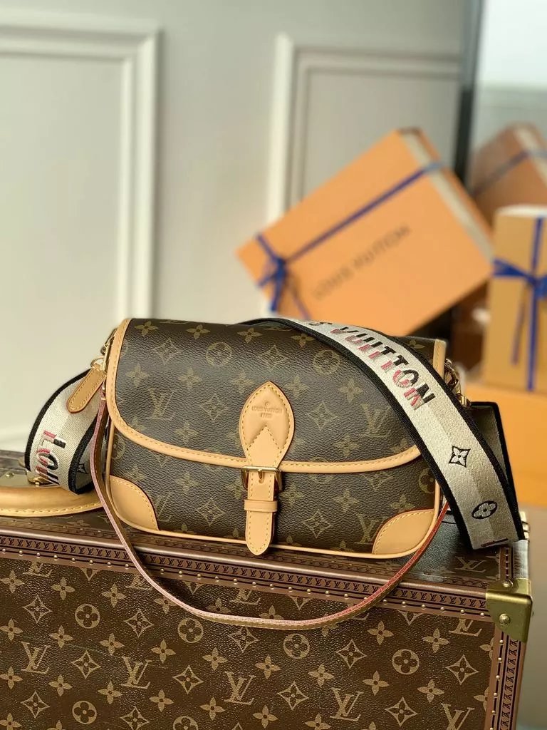 Louis Vuitton Saddle Bag