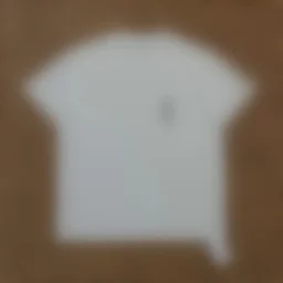 thumbnail for N117-19160