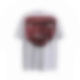 thumbnail for N36-18494