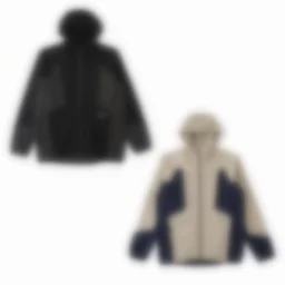 thumbnail for N72-15010