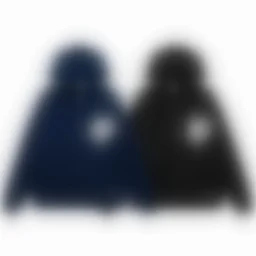 thumbnail for N5-13360