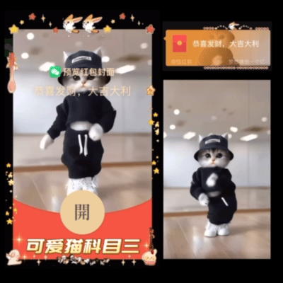 【红包封面】可爱猫科目三【新版】/异形动态
