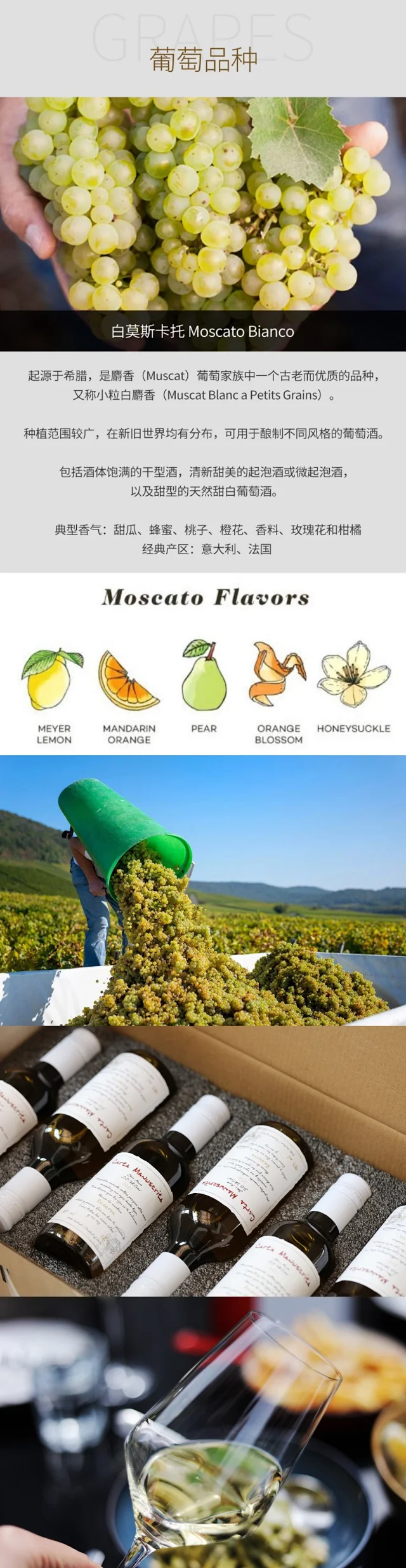 小瓶自在微醺,187mlx6瓶 手写信 赤霞珠干红 莫斯卡托甜白葡萄酒 礼盒