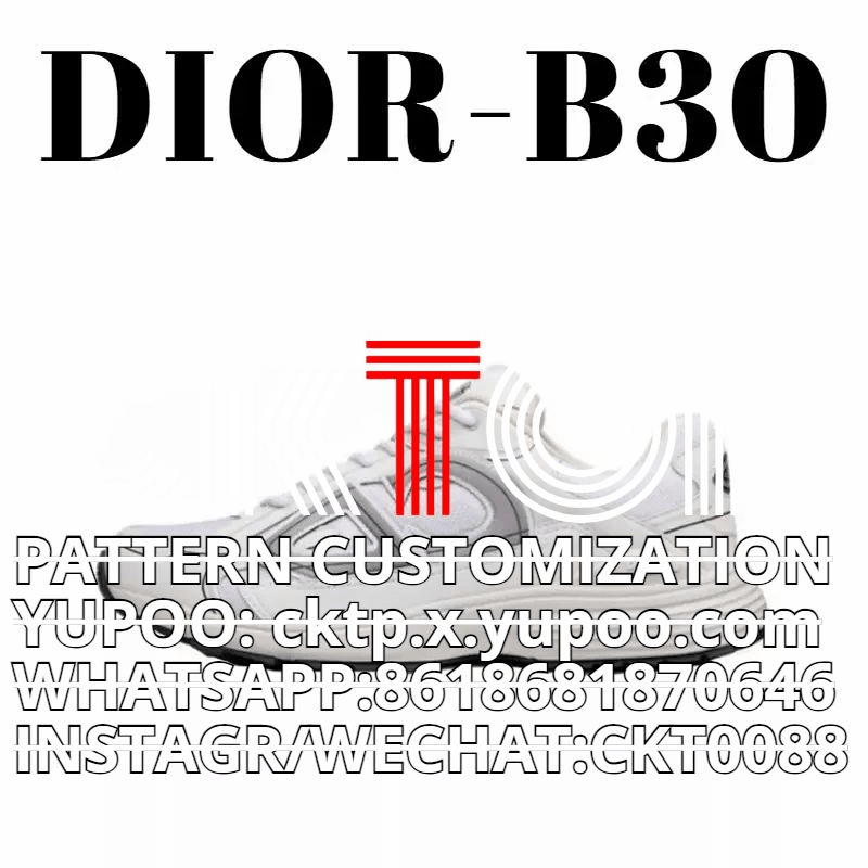 Dior B30 Sneakers [35 styles]