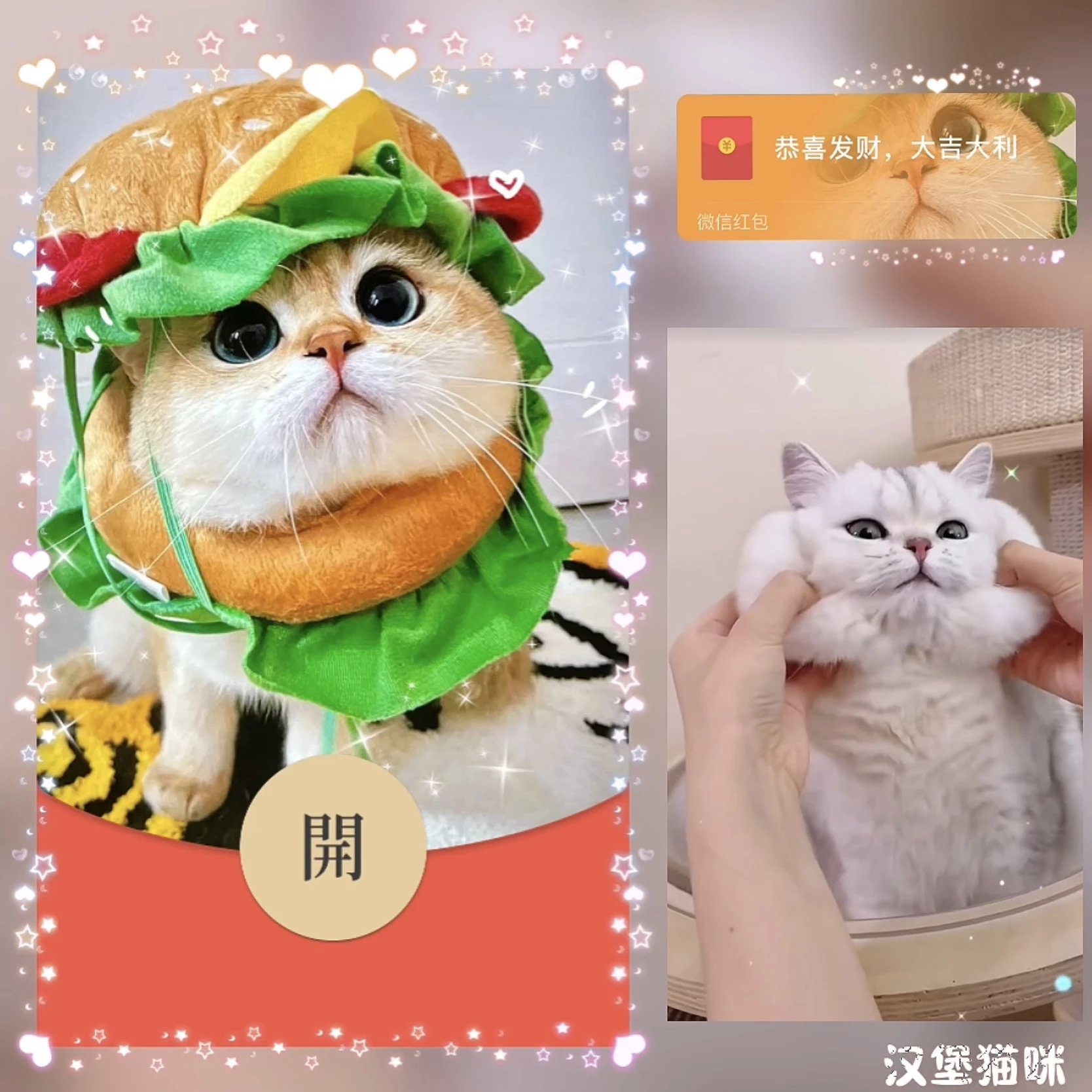 😘汉堡猫咪/bz红包封面皮肤