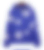 BlueJacket
