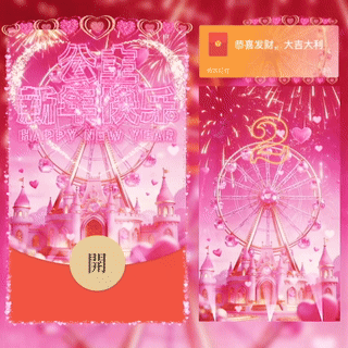 公主新年快乐/爱心摩天轮烟花/新版动态/bc红包封面皮肤