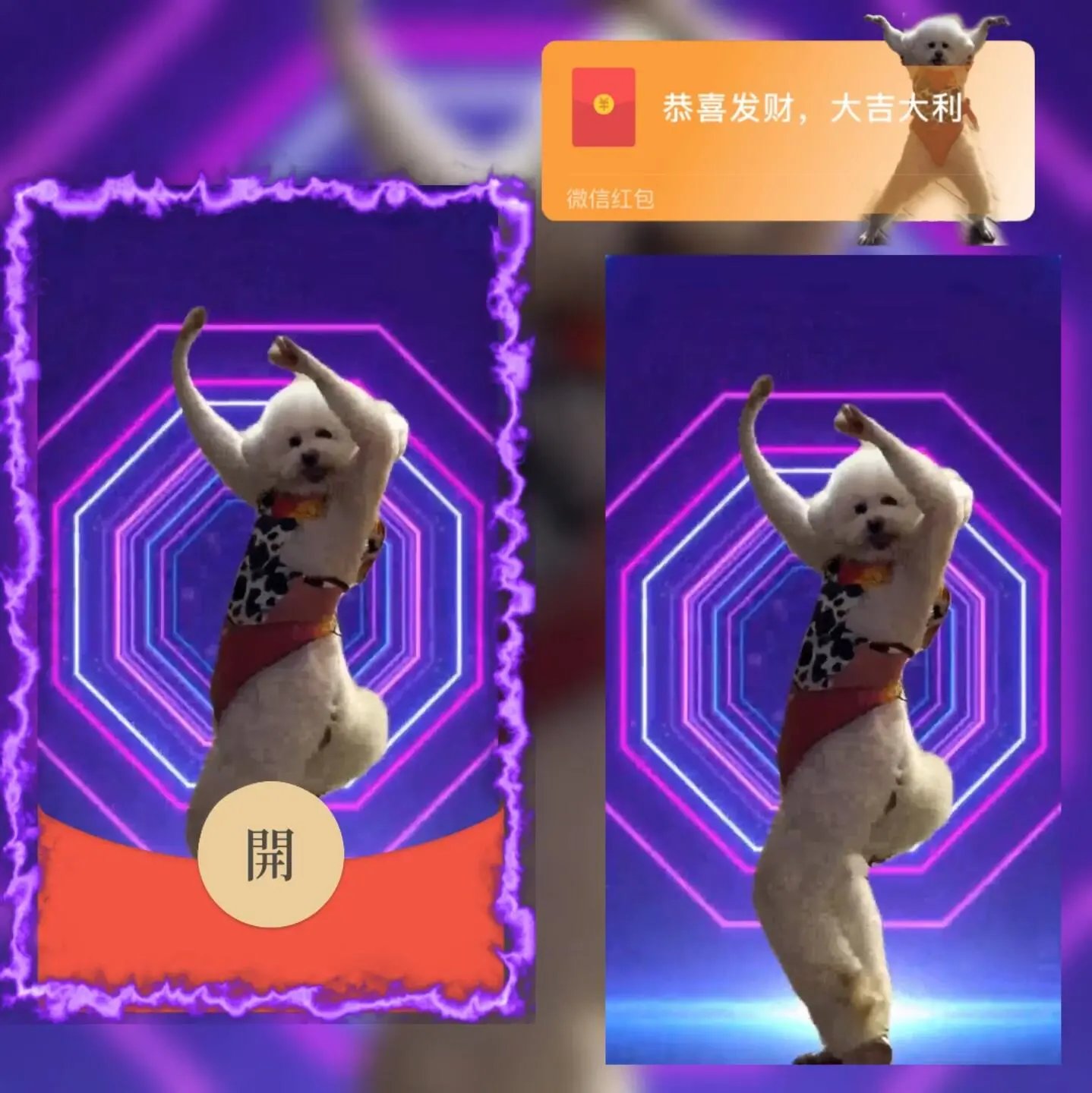 狗子跳舞/大展宏图/抽象搞笑/qiqi红包封面皮肤