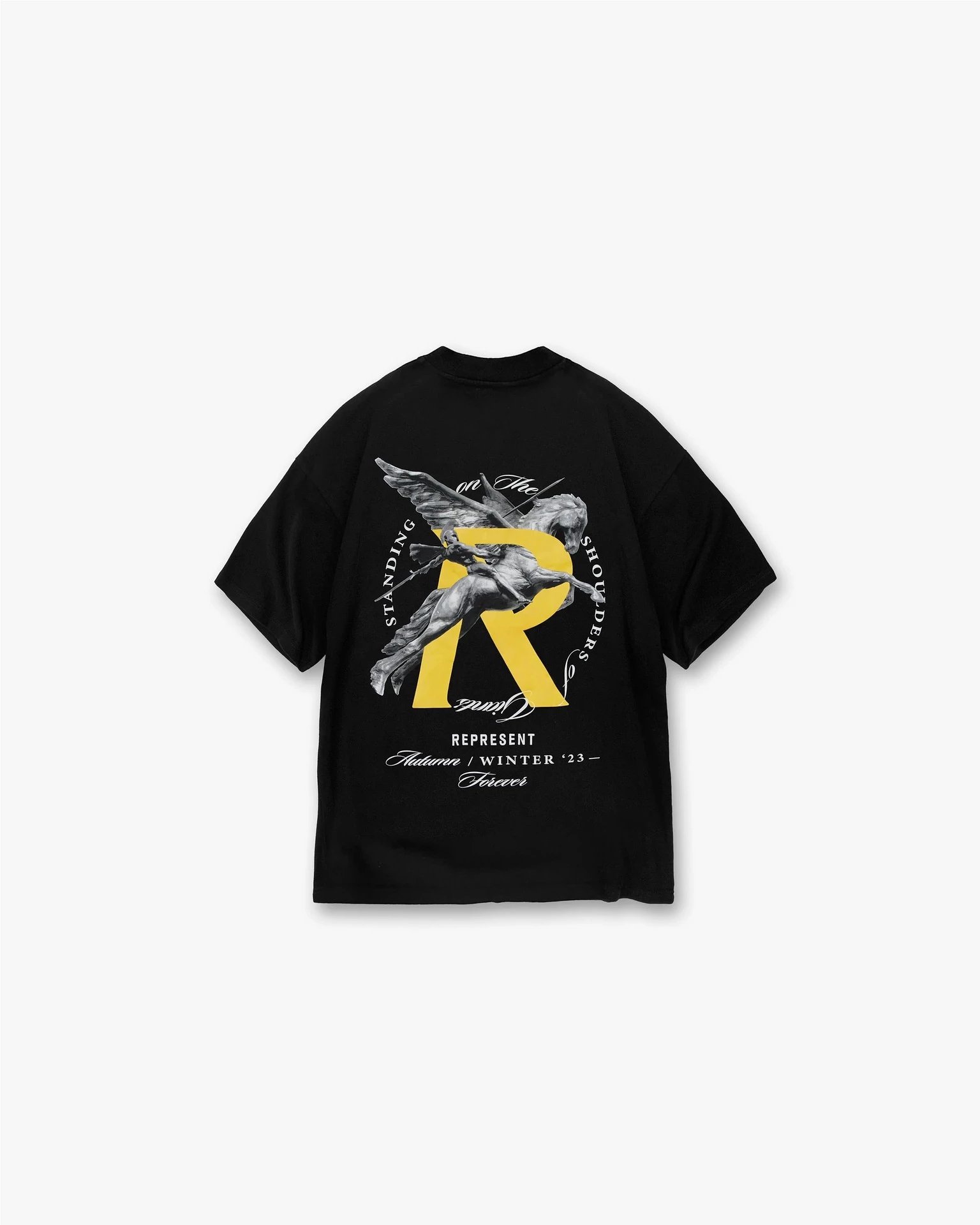 Product view 26